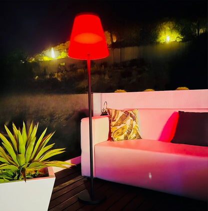 HASHI Solar LED Floor Lamp