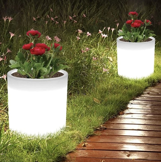 SITULA Luminous Flowerpot