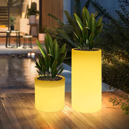 SITULA Luminous Flowerpot