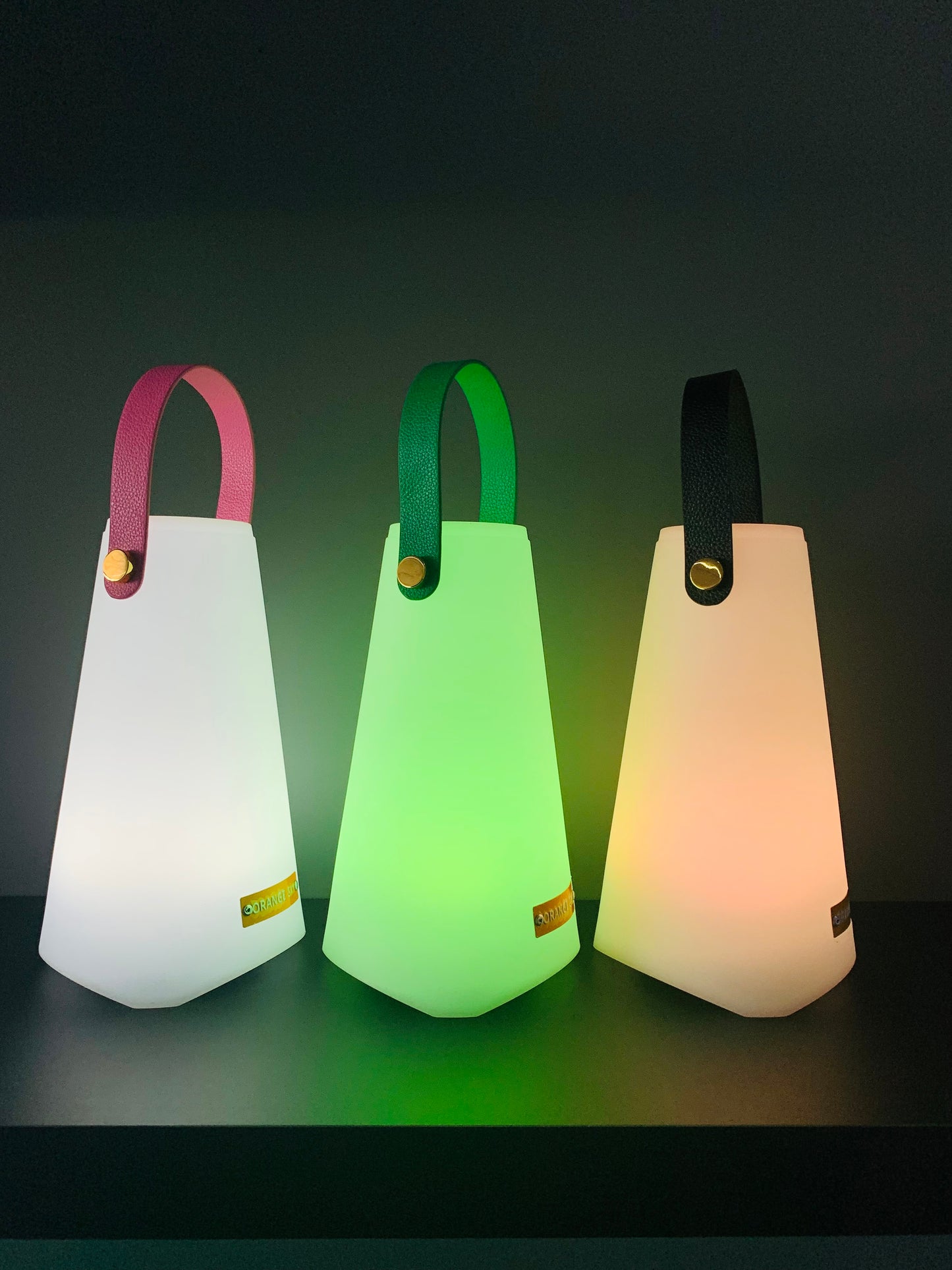 INDUS Led Portable Lamp